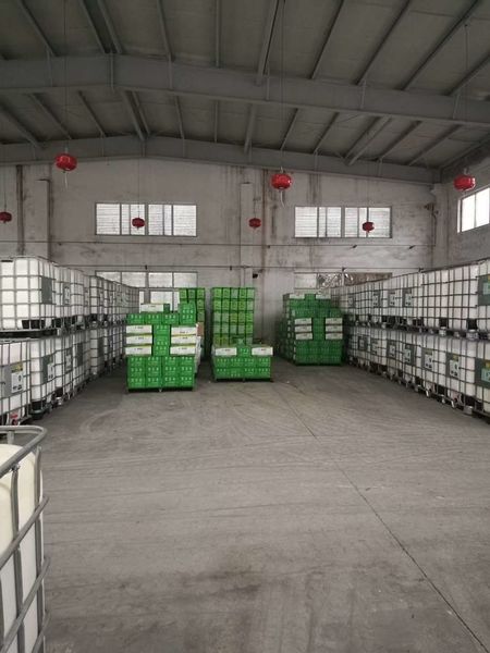 China Shenzhen Taiqiang Investment Holding Co., Ltd Unternehmensprofil